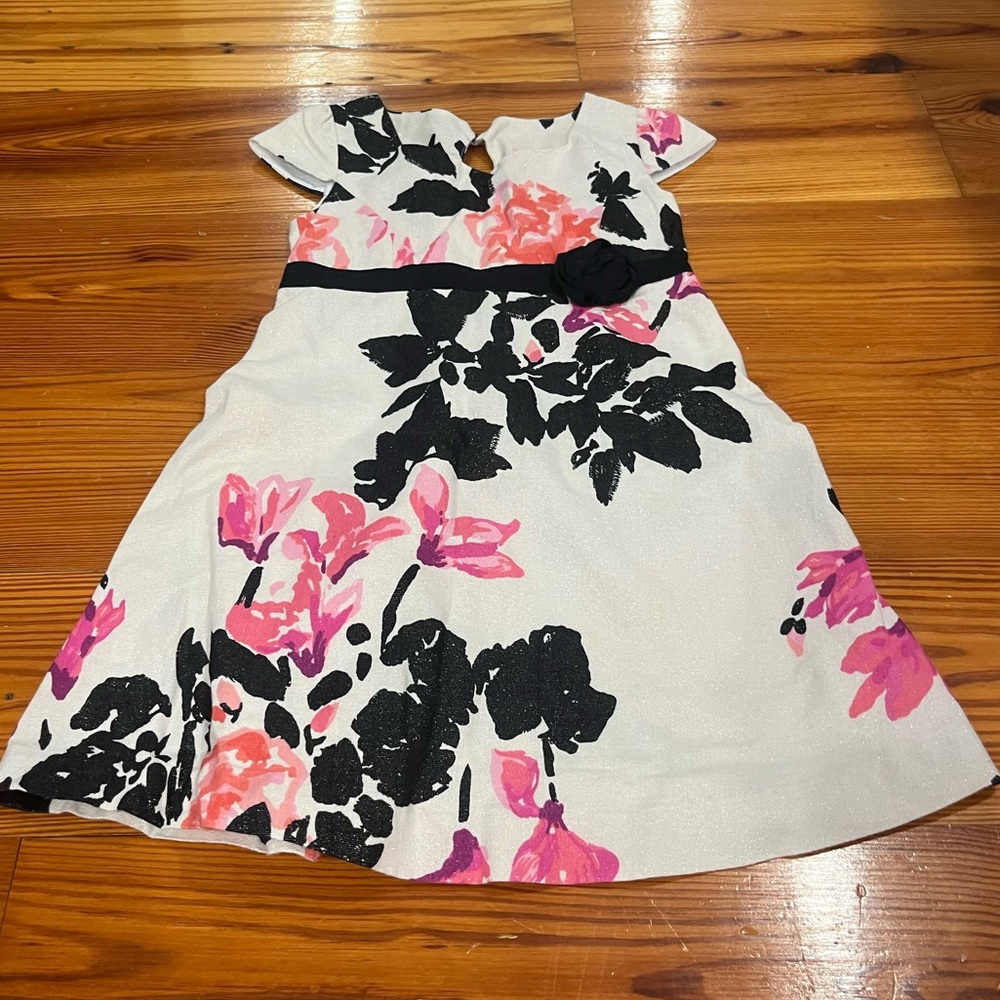 Lily Pulitzer dress girls